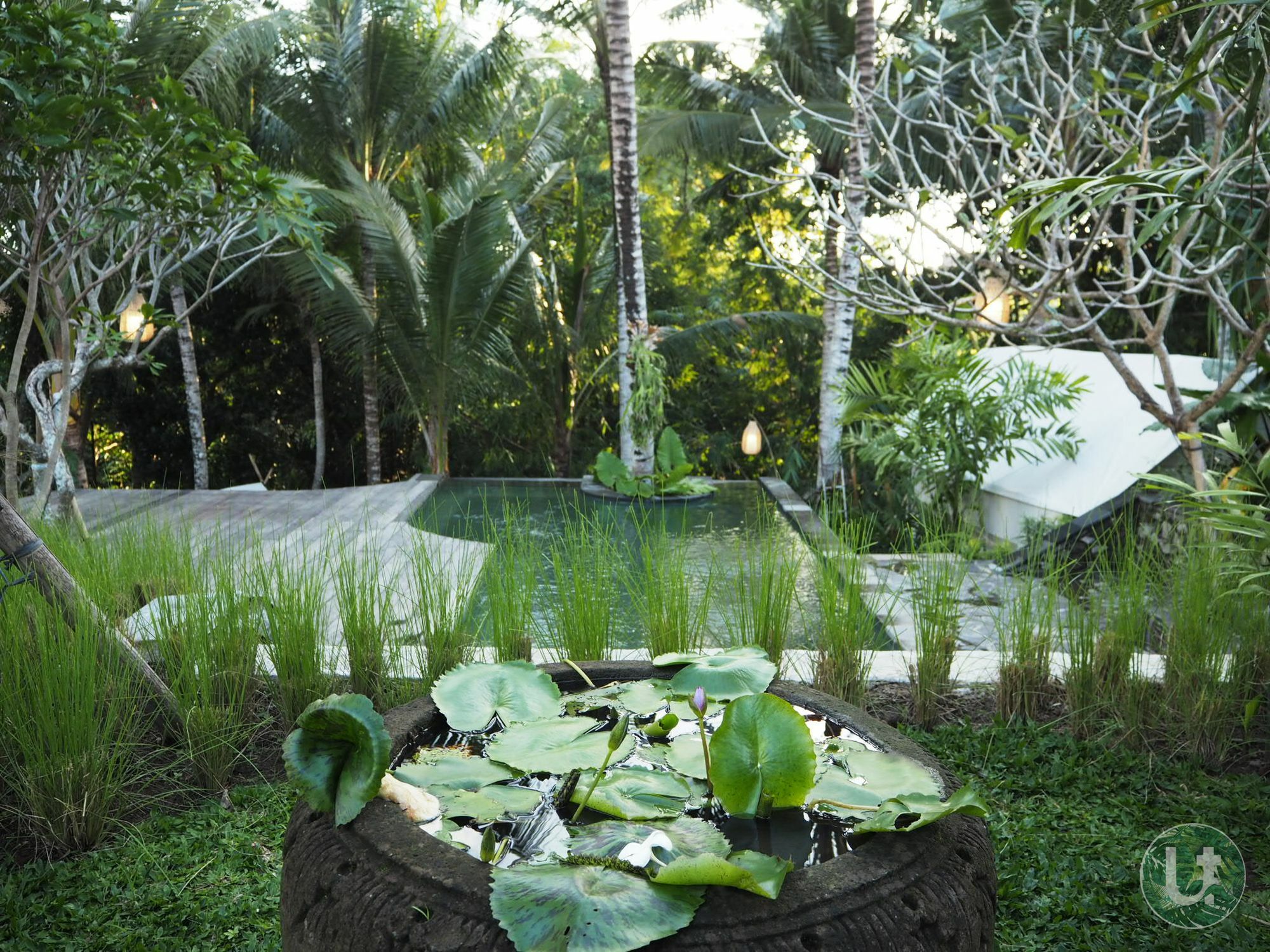 Ubud Tropical Exterior photo