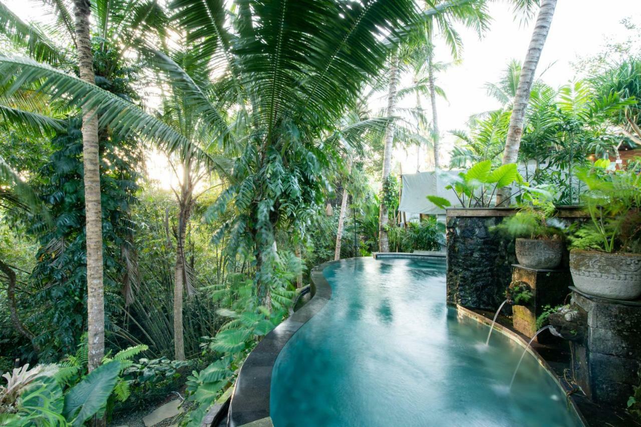 Ubud Tropical Exterior photo