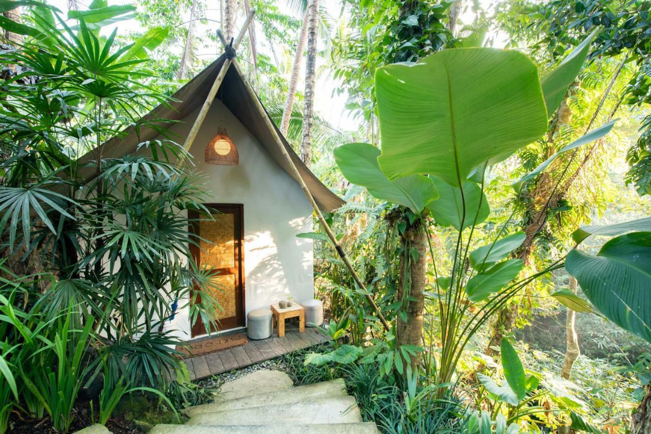 Ubud Tropical Exterior photo